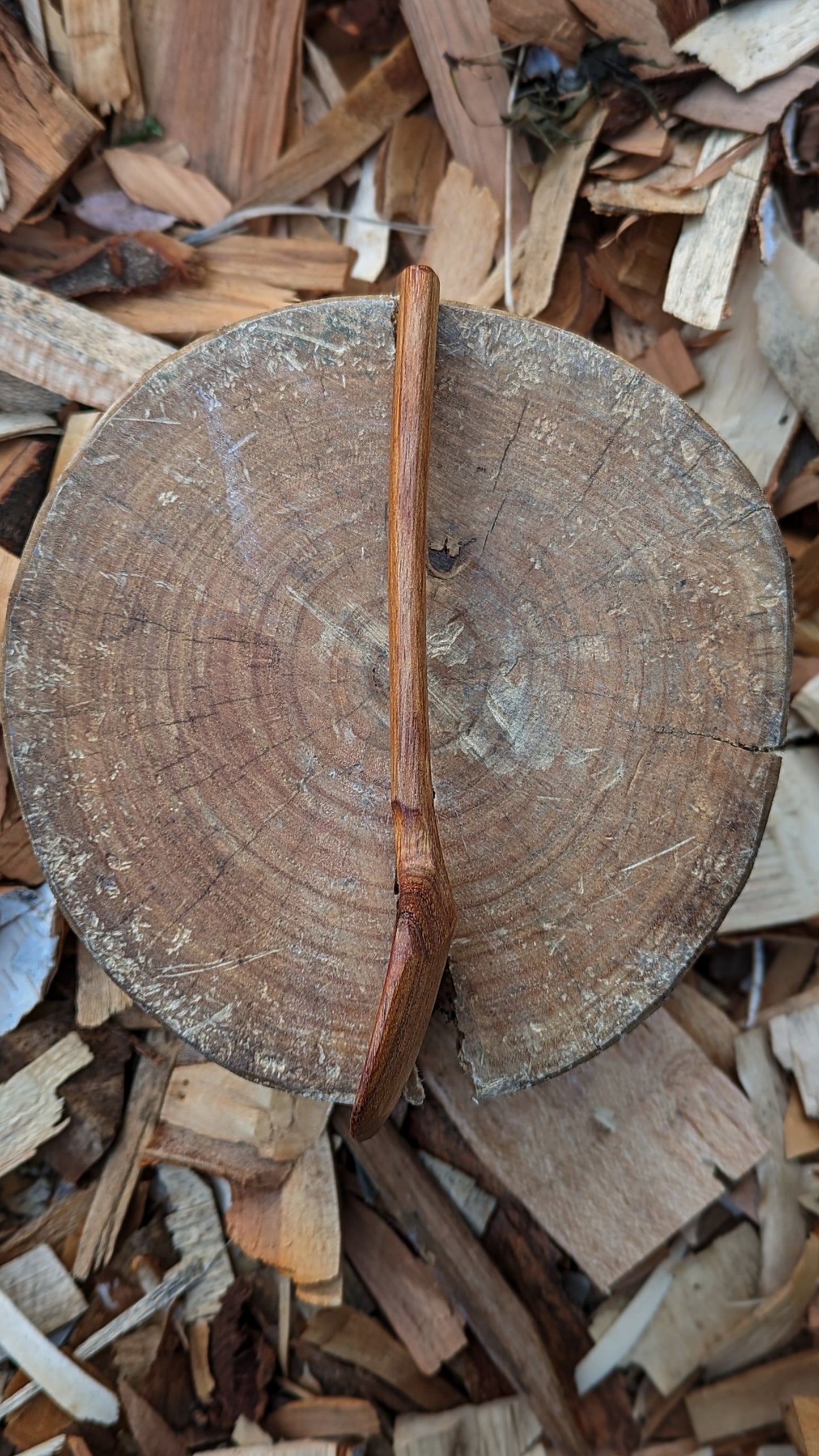 Eating Spoon - Southern Blackwood