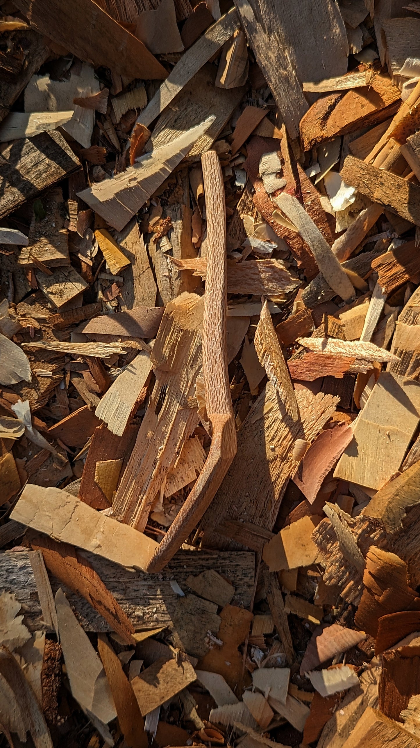 Eating Spoon - Silky Oak