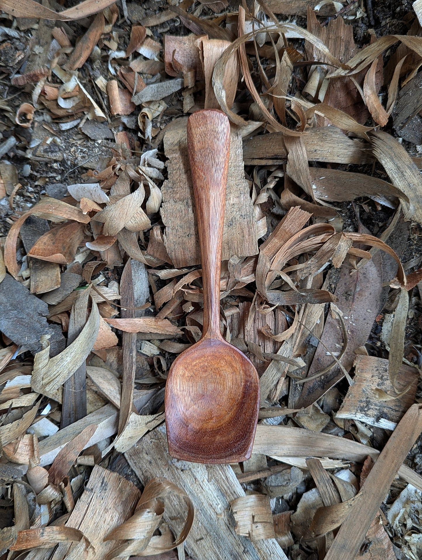 Eating Spoon - Blackwood