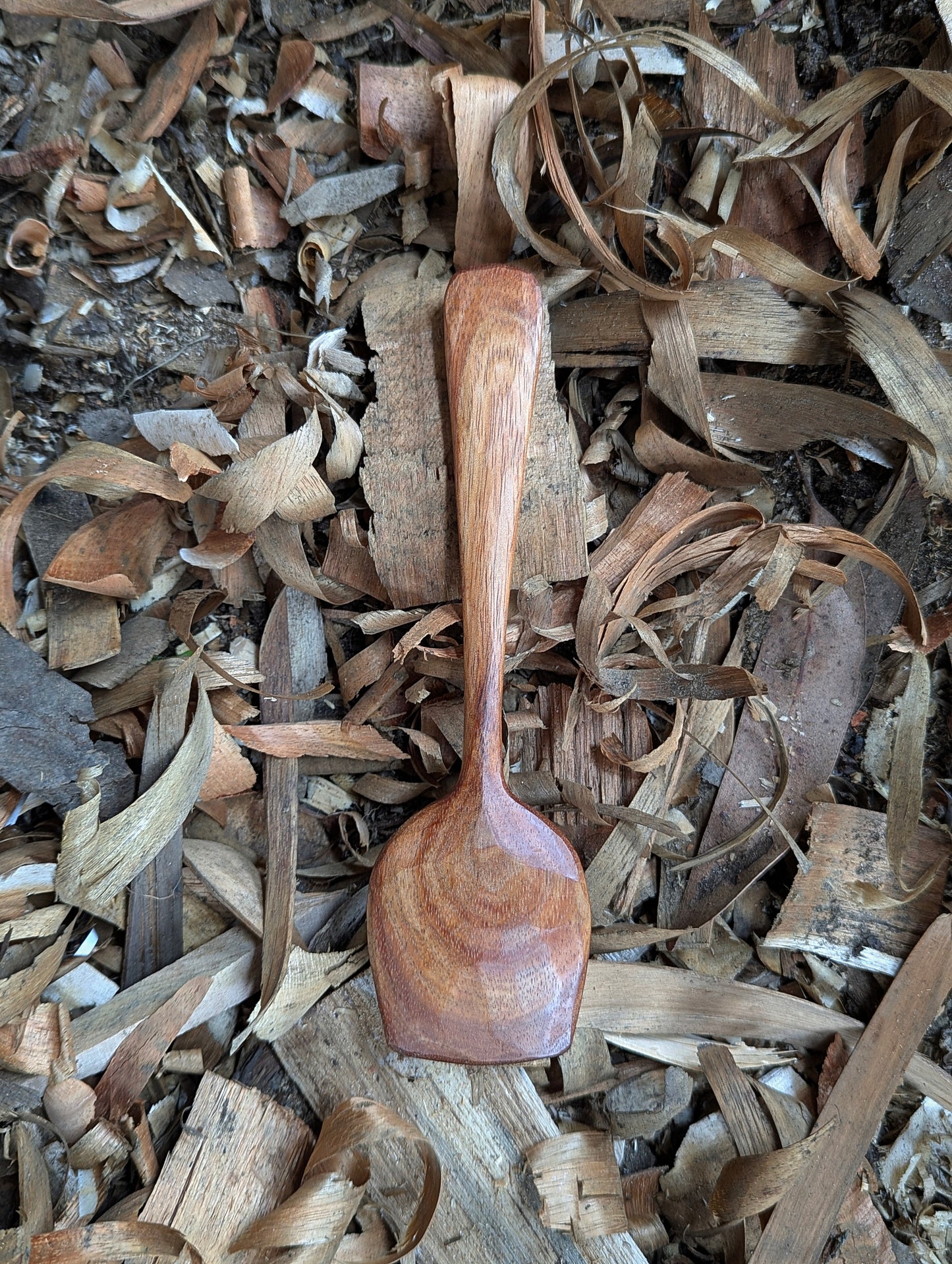 Eating Spoon - Blackwood