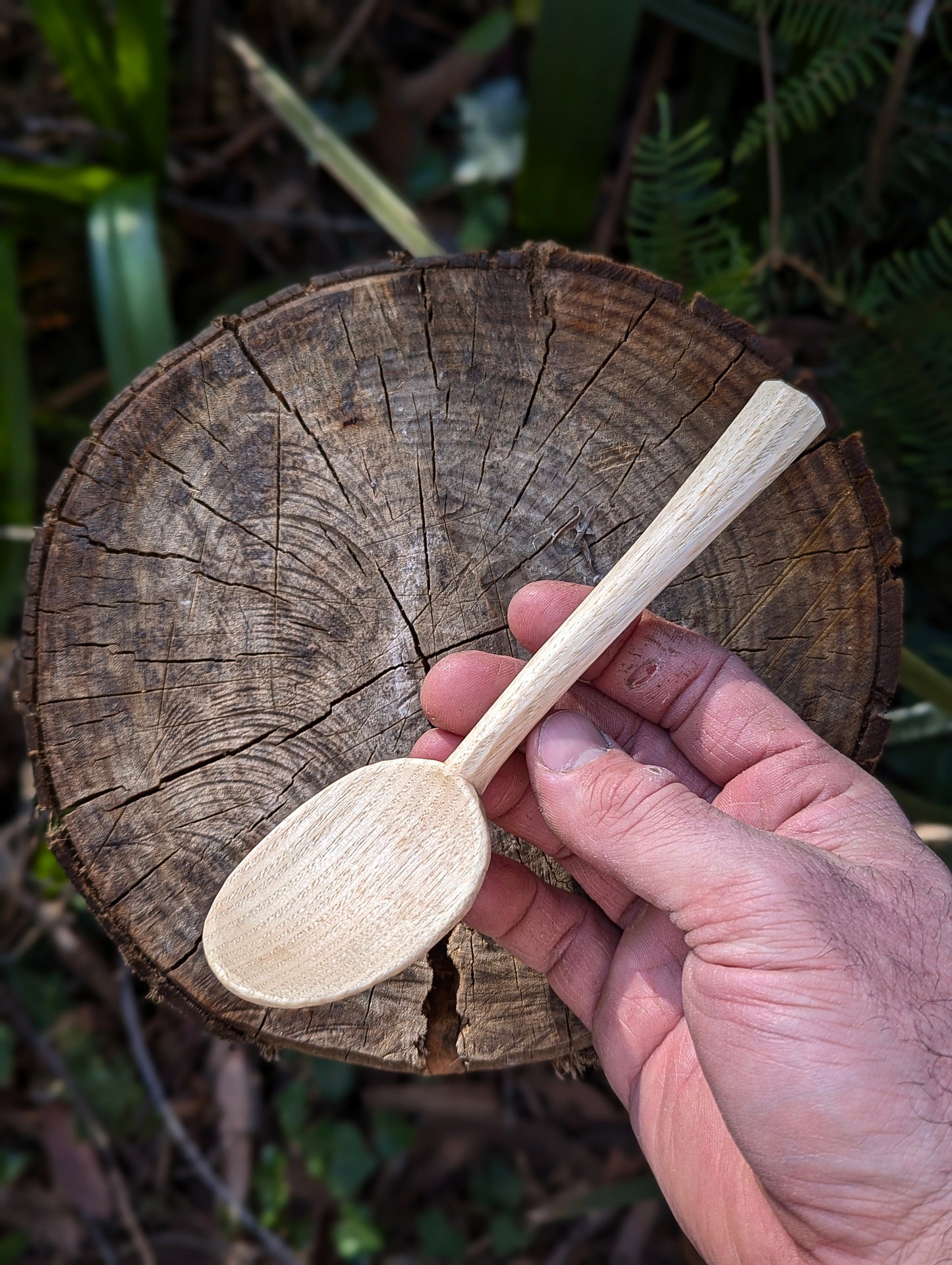 Eating Spoon - Box Elder