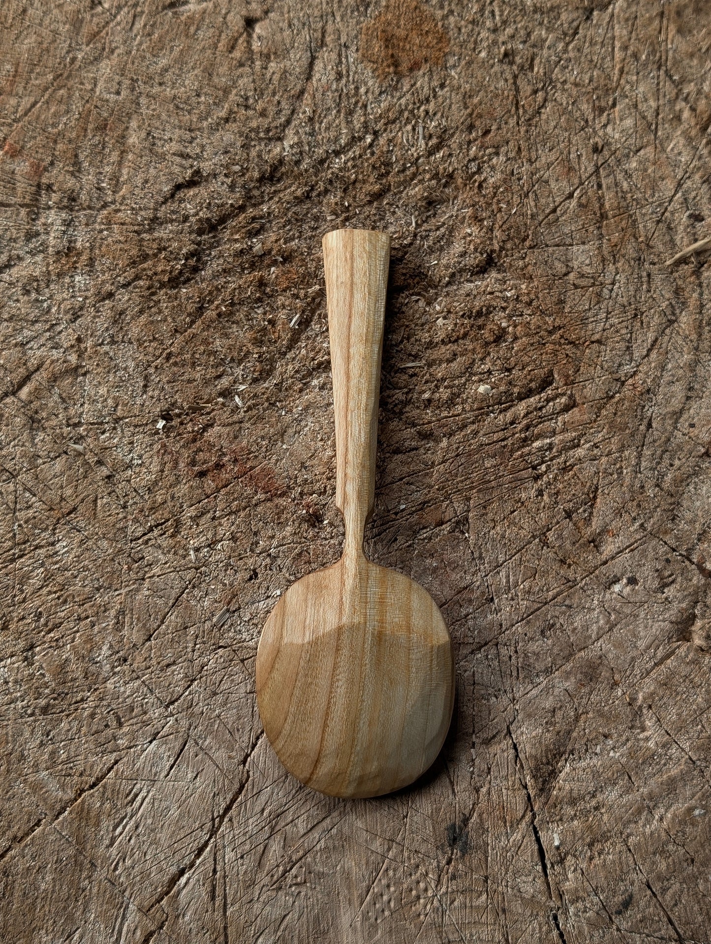Eating Spoon - Locally Sourced Cherry