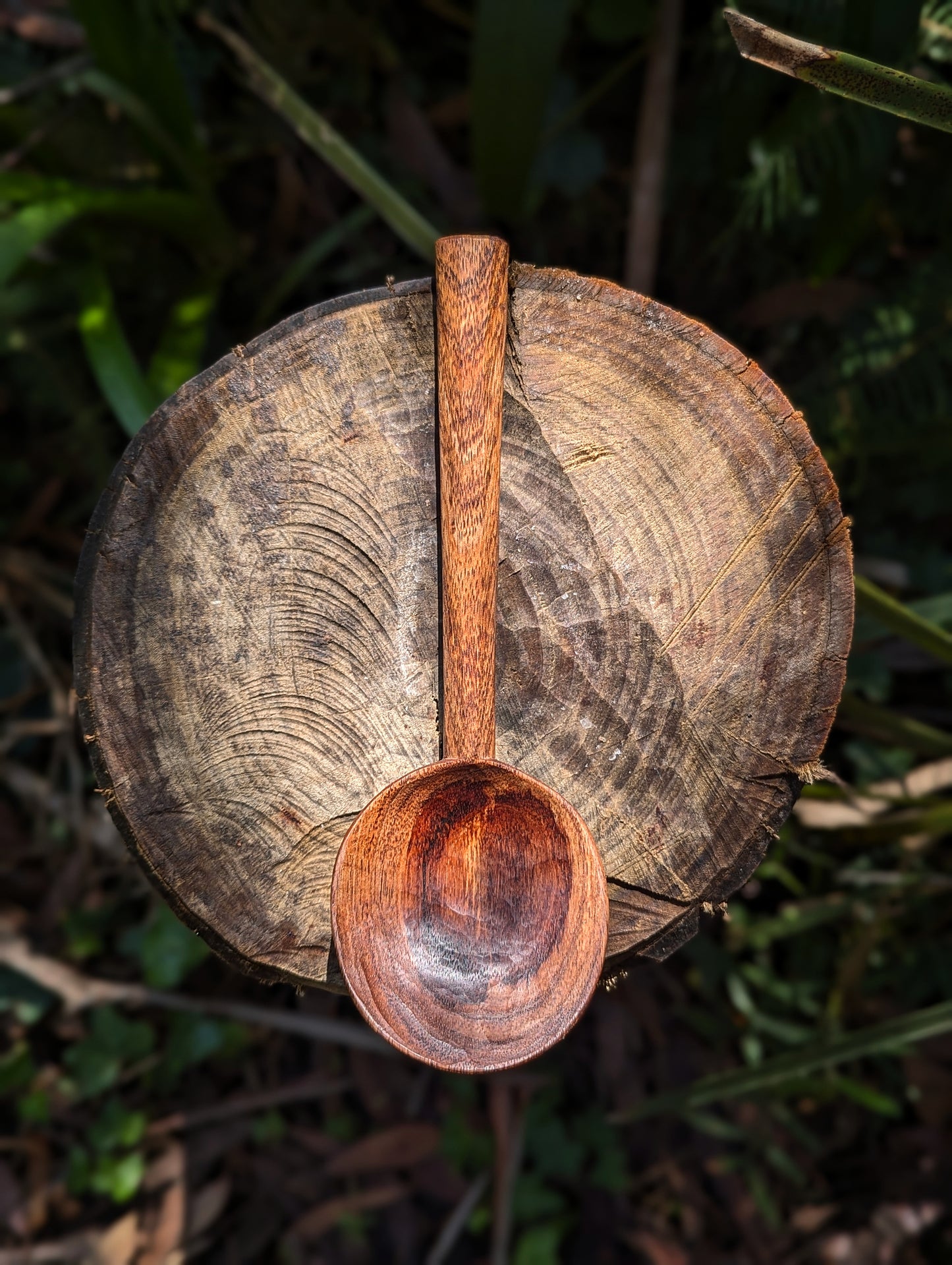 Serving Spoon - Blackwood
