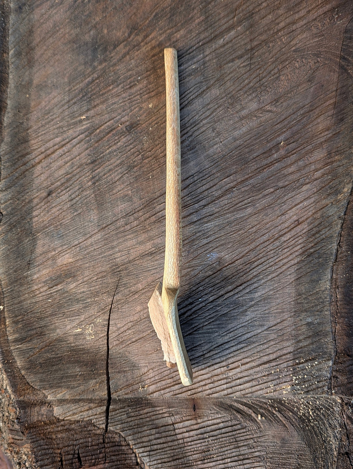 Camp Spoon - Silky Oak