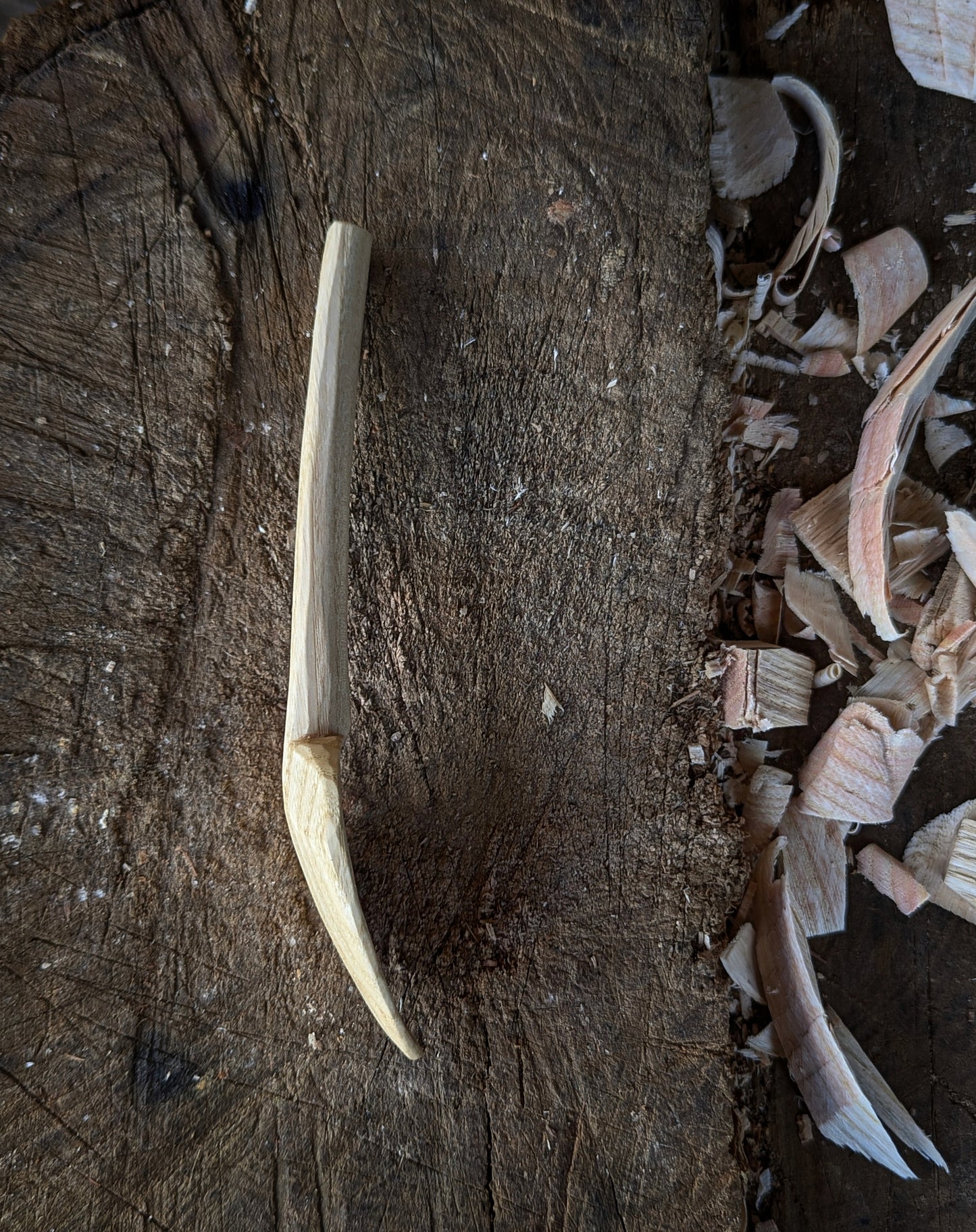 Eating Spoon - Box Elder