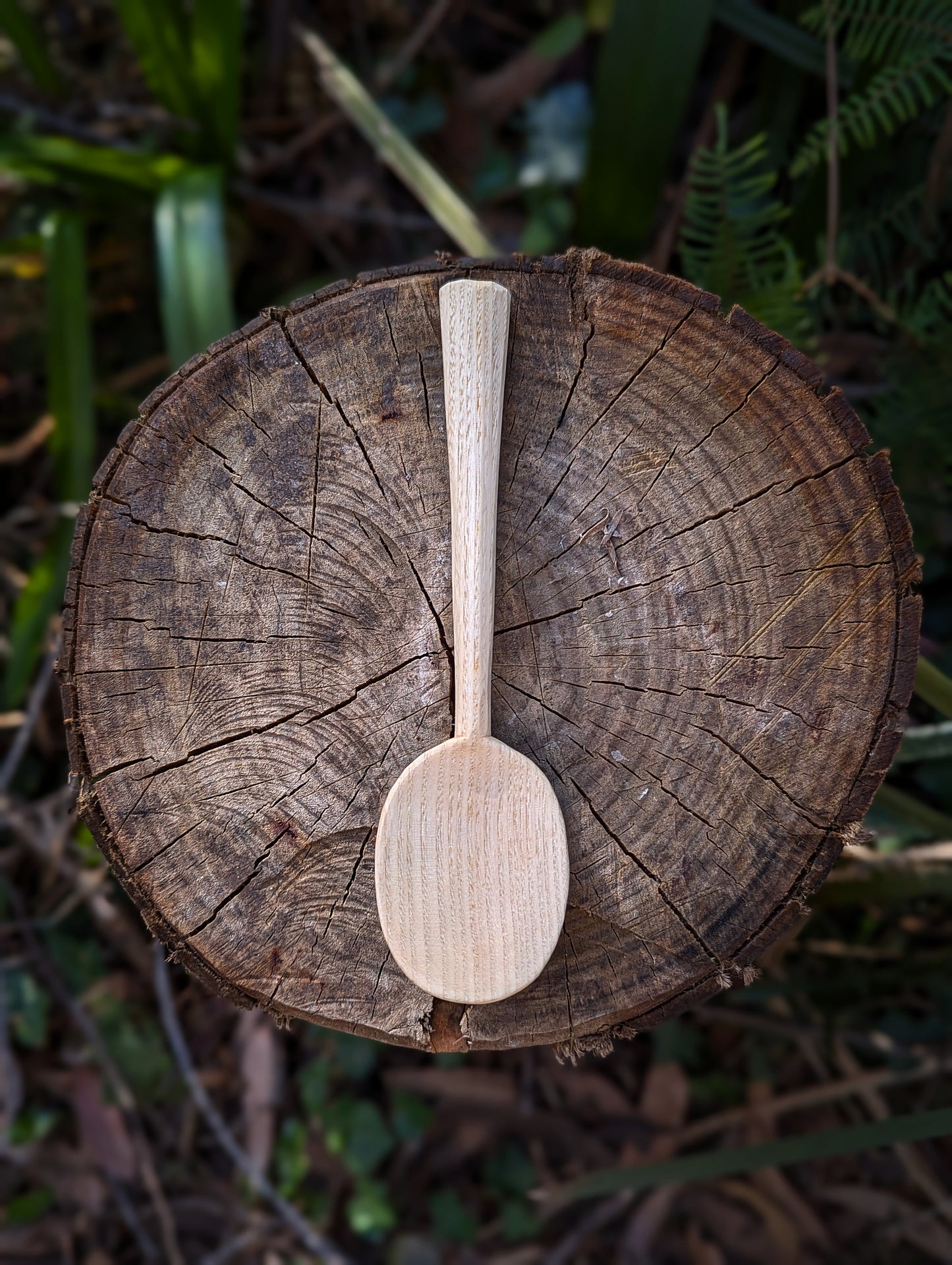 Eating Spoon - Box Elder