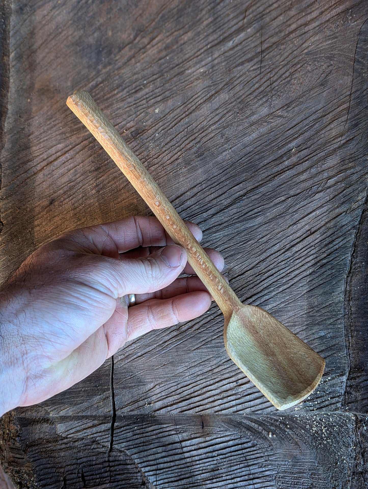 Camp Spoon - Silky Oak