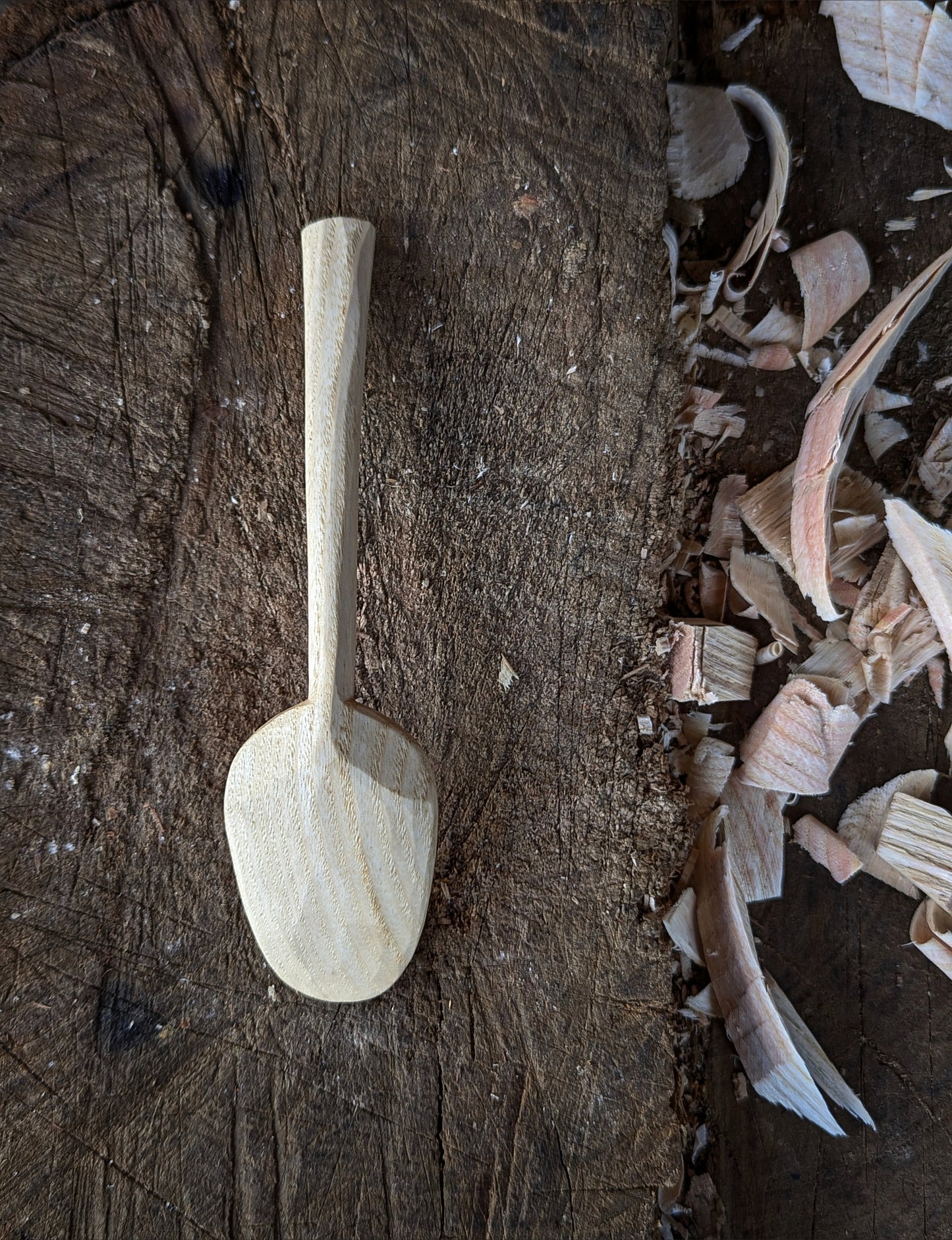 Eating Spoon - Box Elder