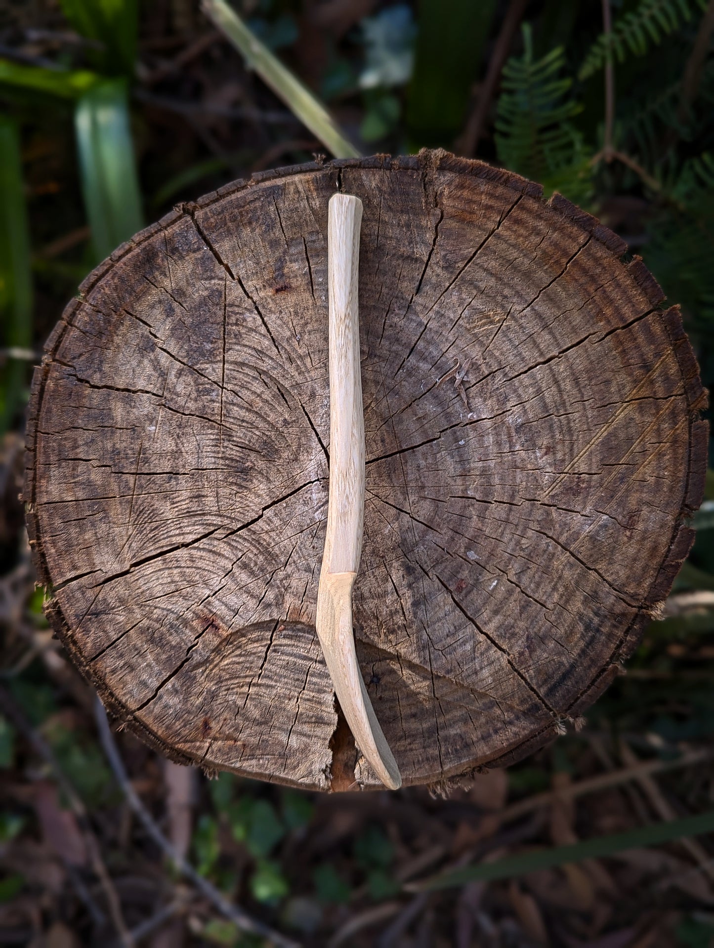 Eating Spoon - Box Elder