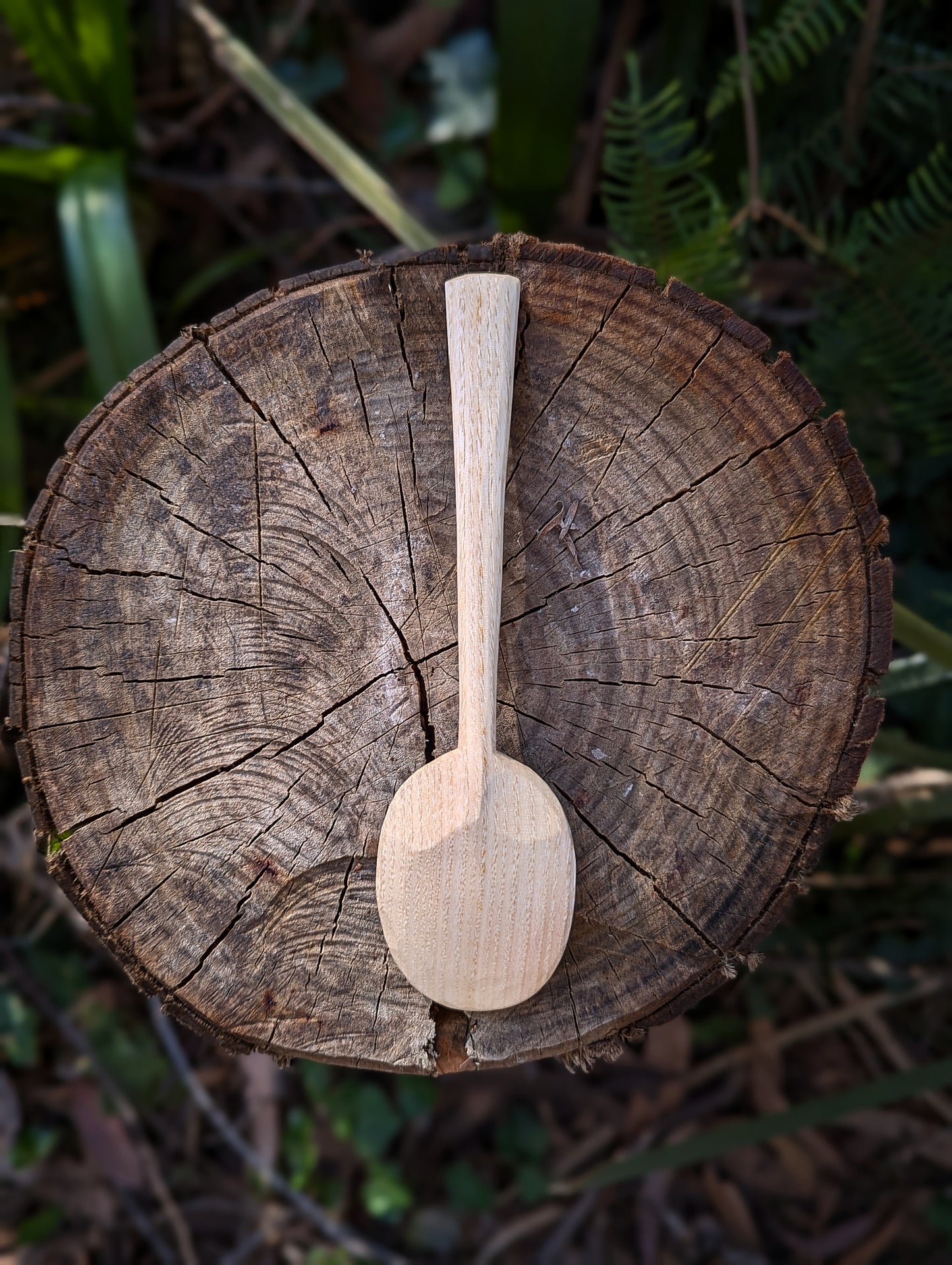 Eating Spoon - Box Elder