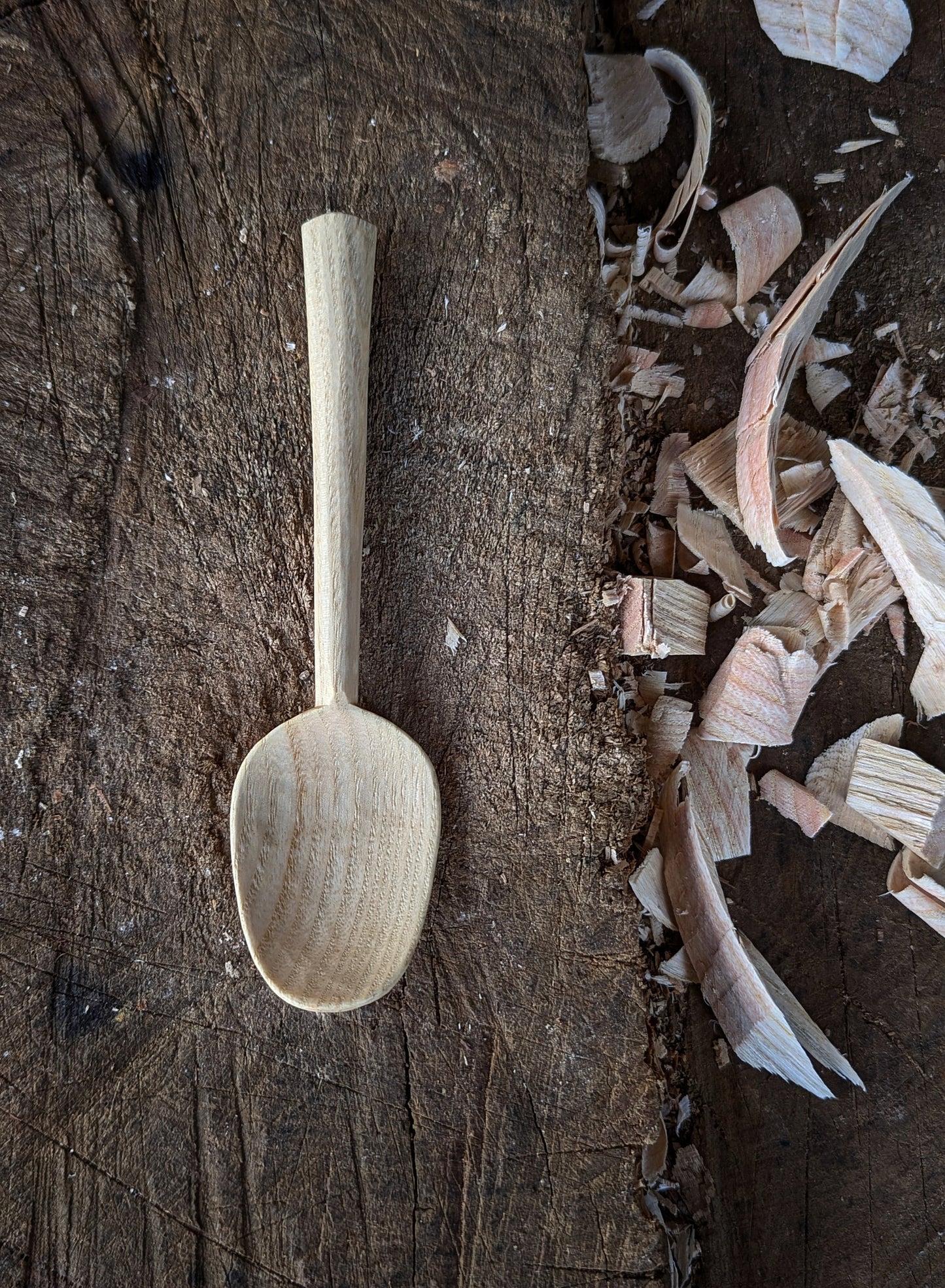 Eating Spoon - Box Elder