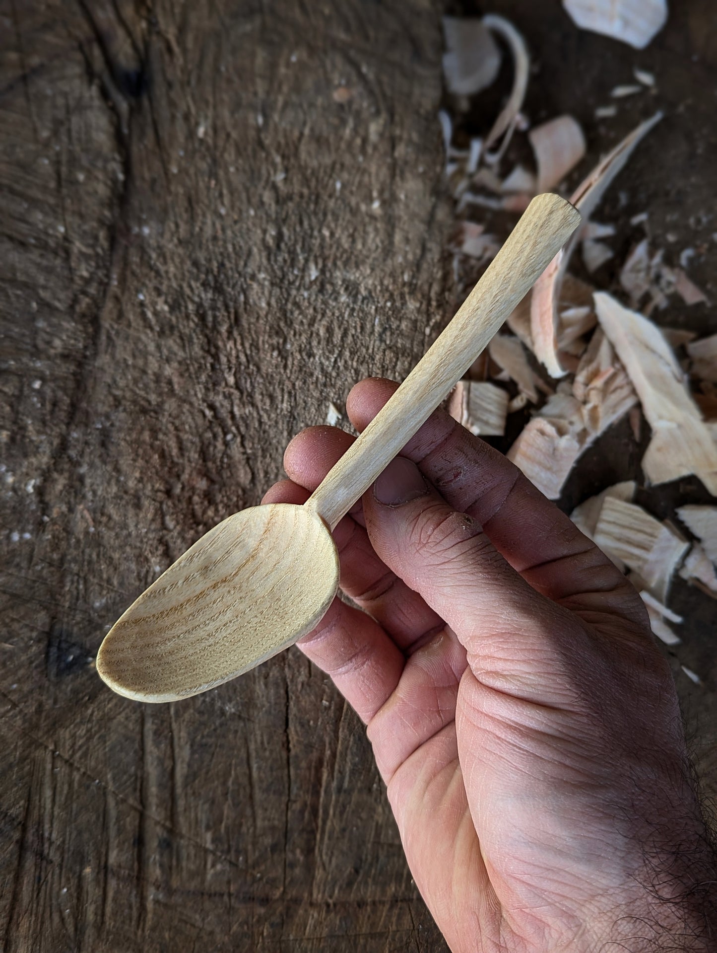 Eating Spoon - Box Elder