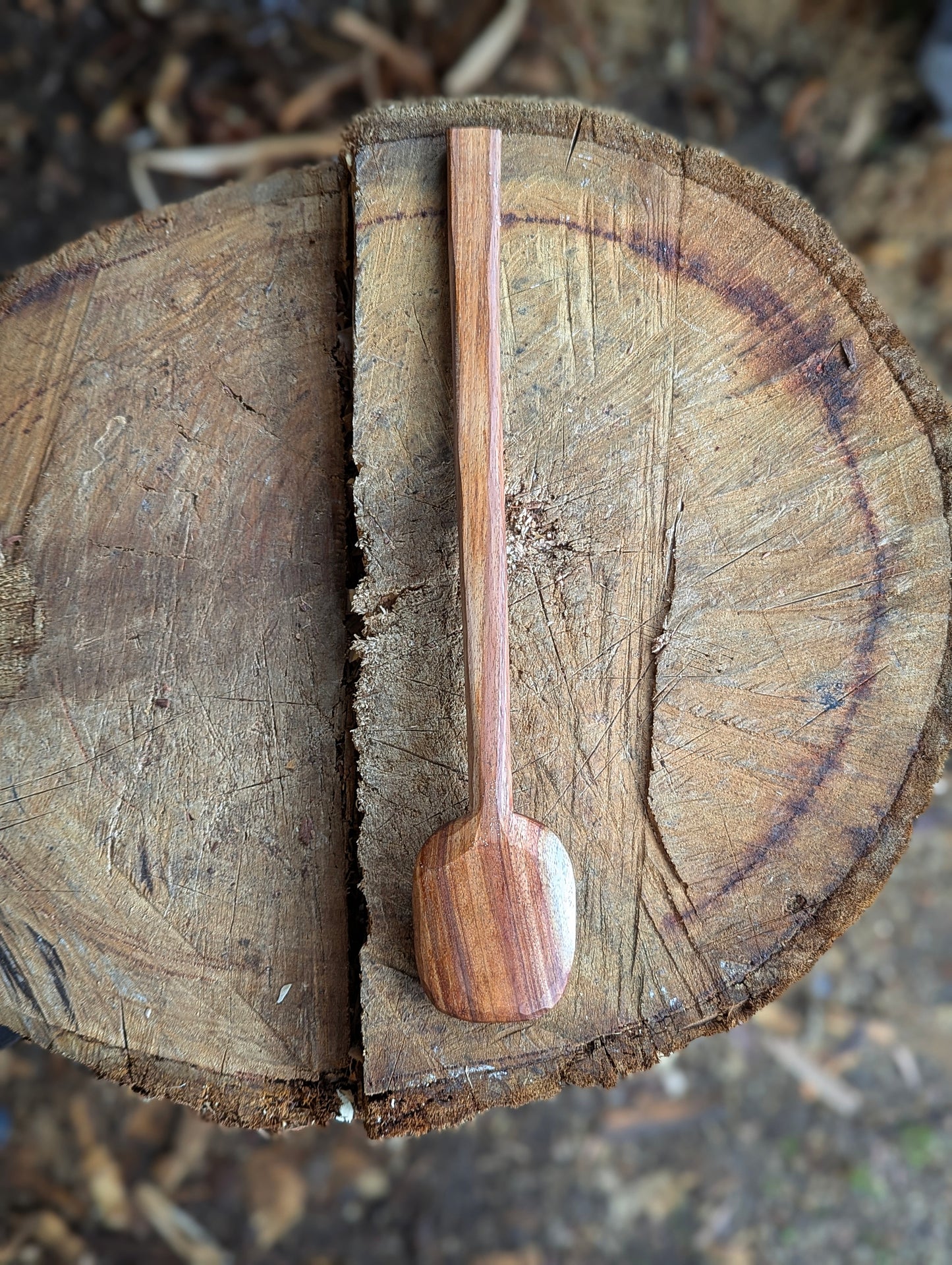 Cooking Spoon - Blackwood