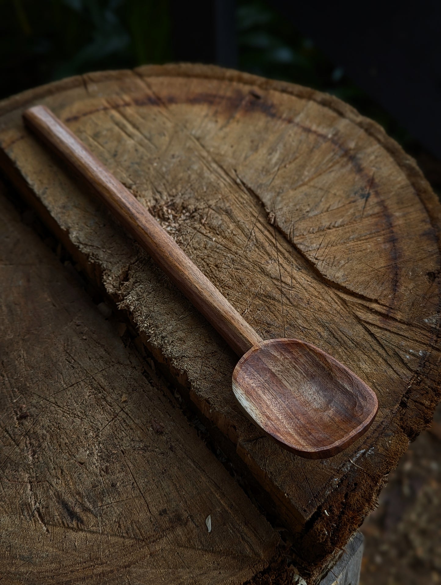 Cooking Spoon - Blackwood