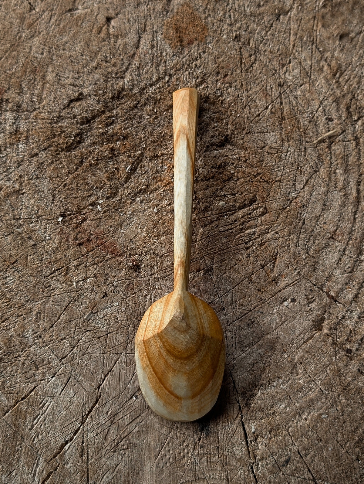 Eating Spoon - Locally Sourced Cherry