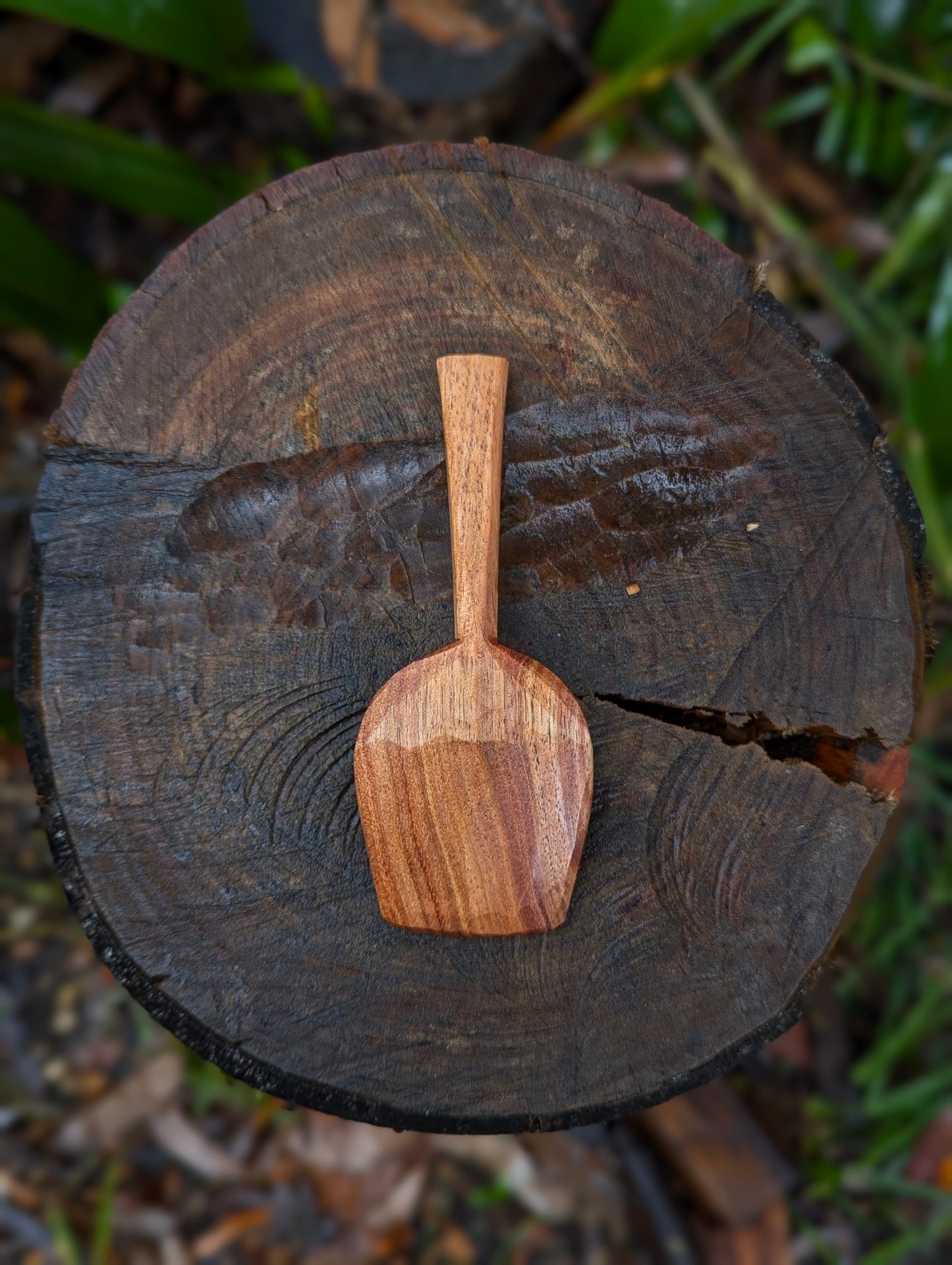 Pocket Spoon - Blackwood