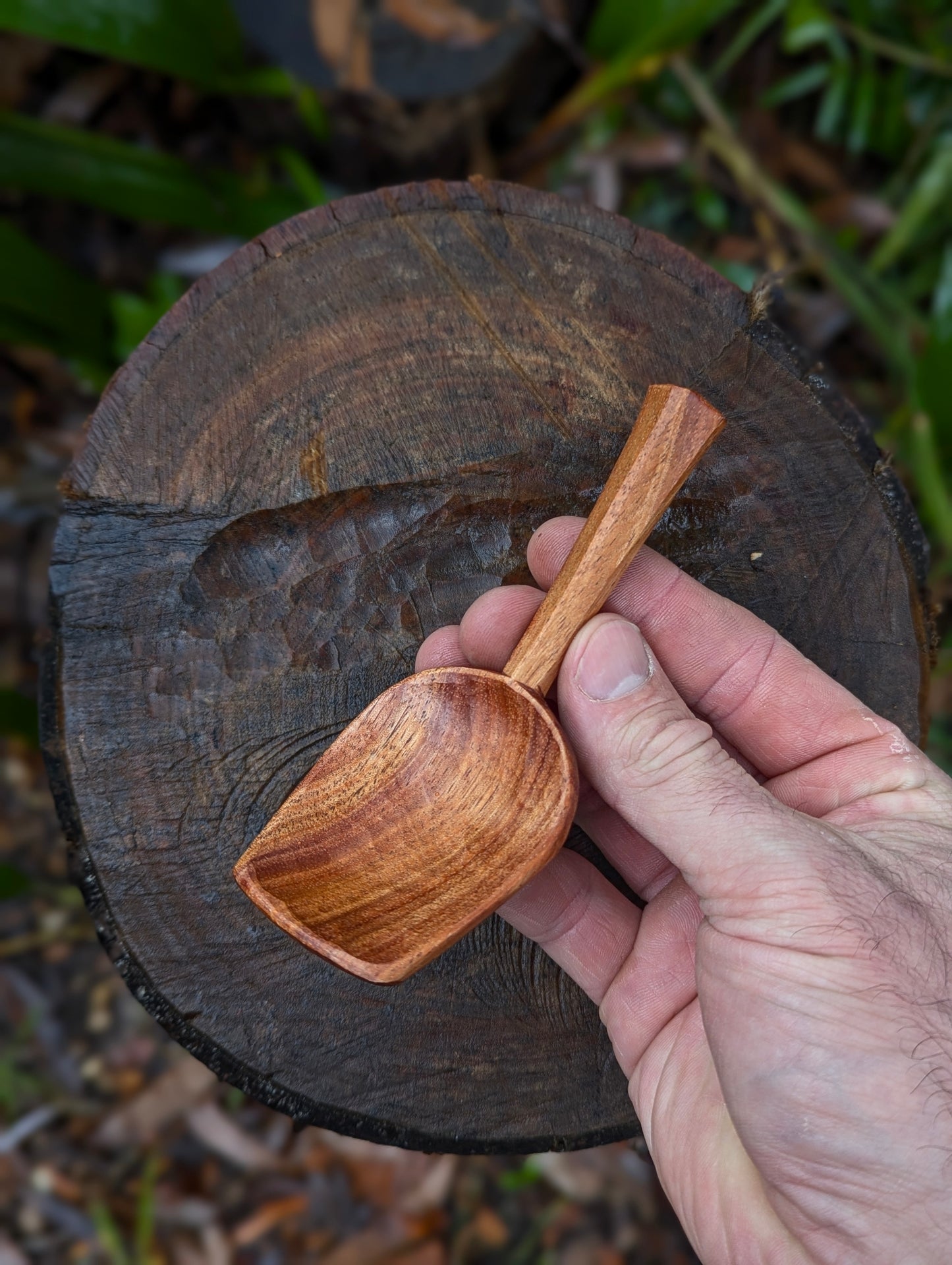 Pocket Spoon - Blackwood
