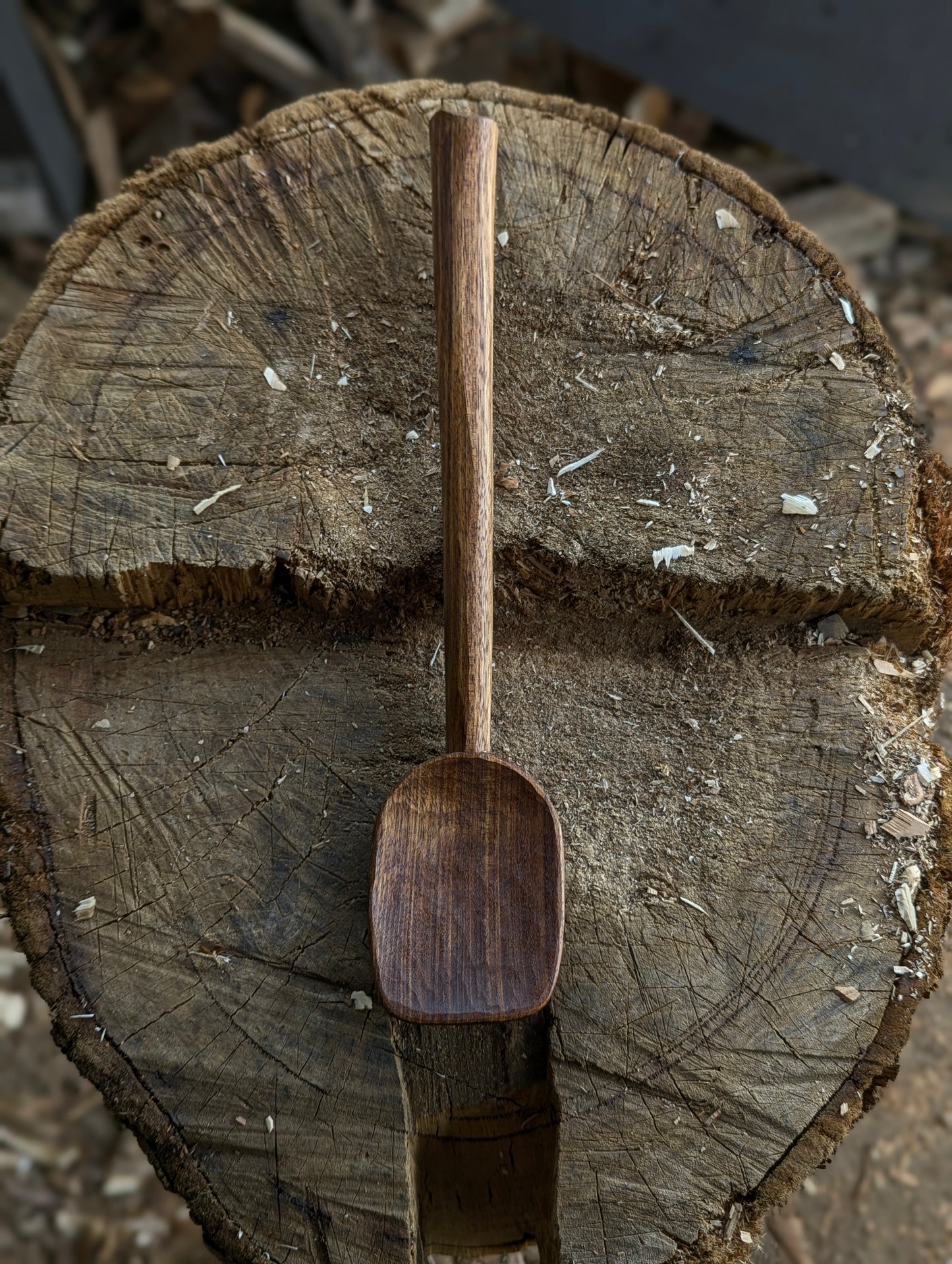 Cooking Spoon - Blackwood