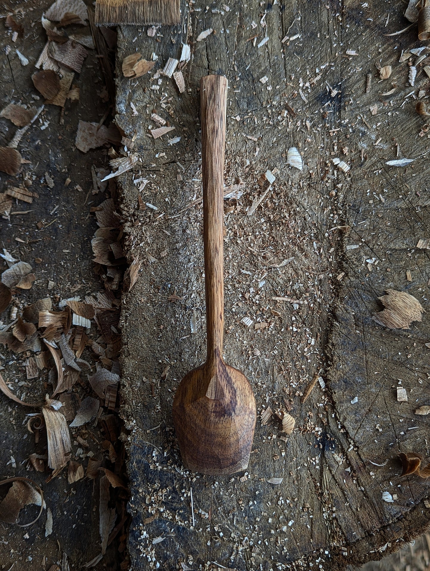 French Press Spoon - Blackwood
