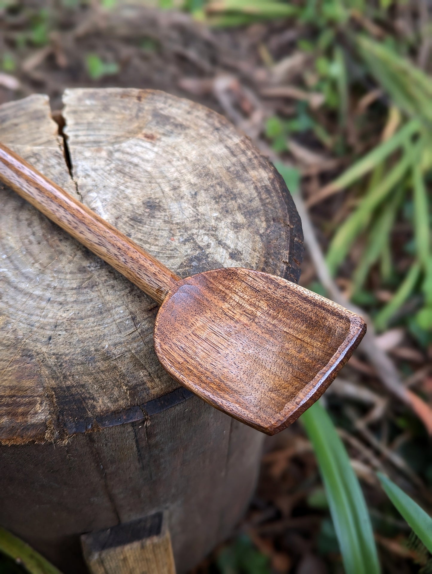 Camp Spoon - Blackwood