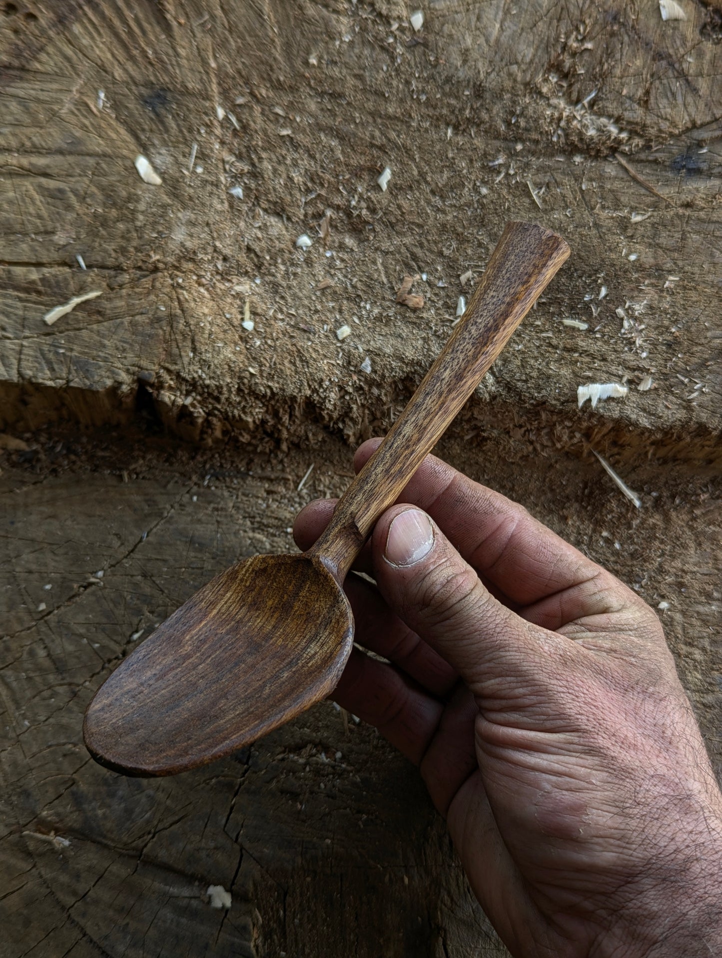 Eating Spoon - Blackwood