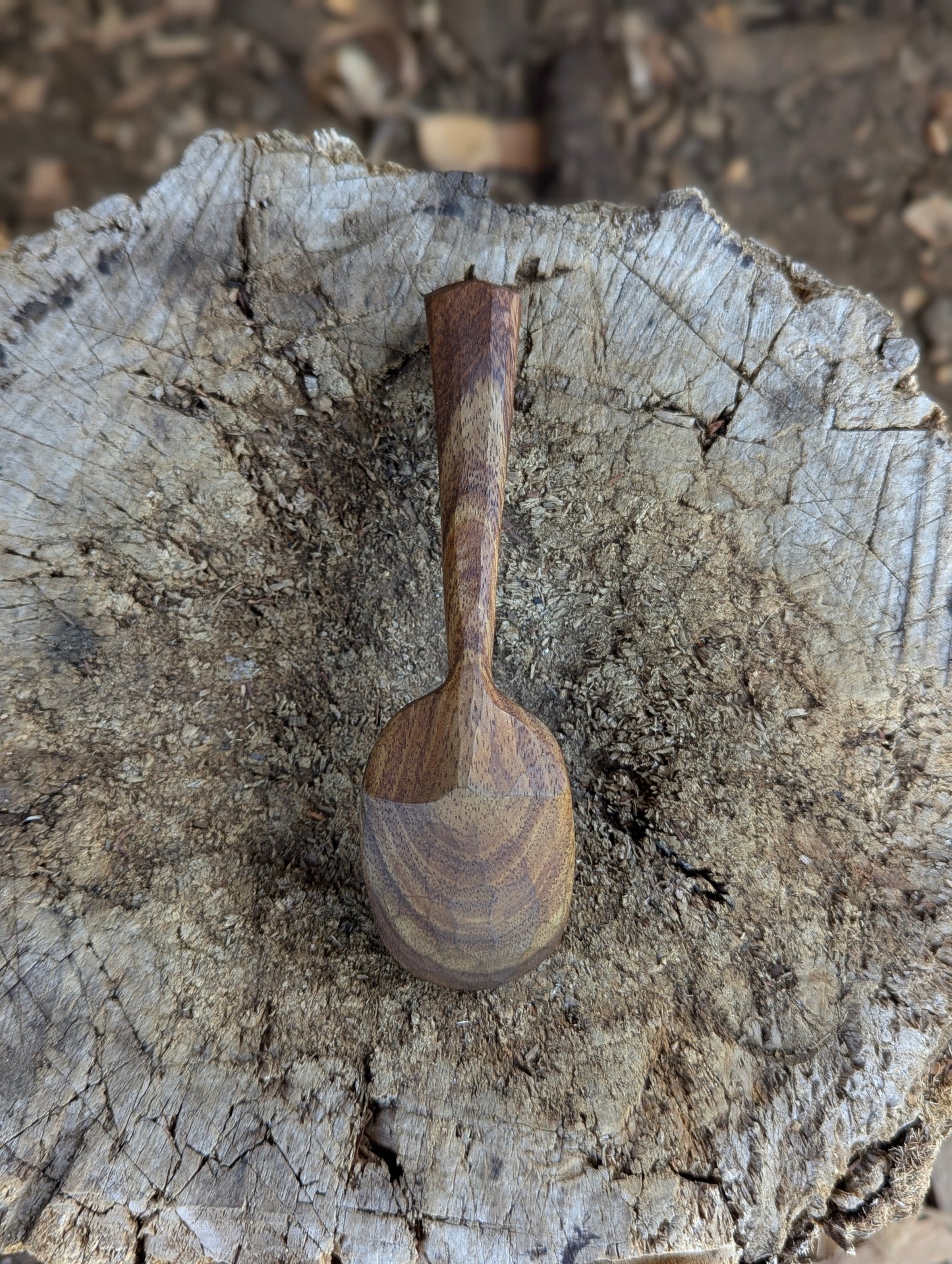 Pocket Spoon - Blackwood