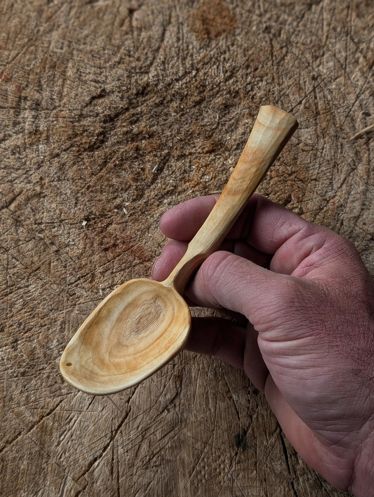 Eating Spoon - Locally Sourced Cherry
