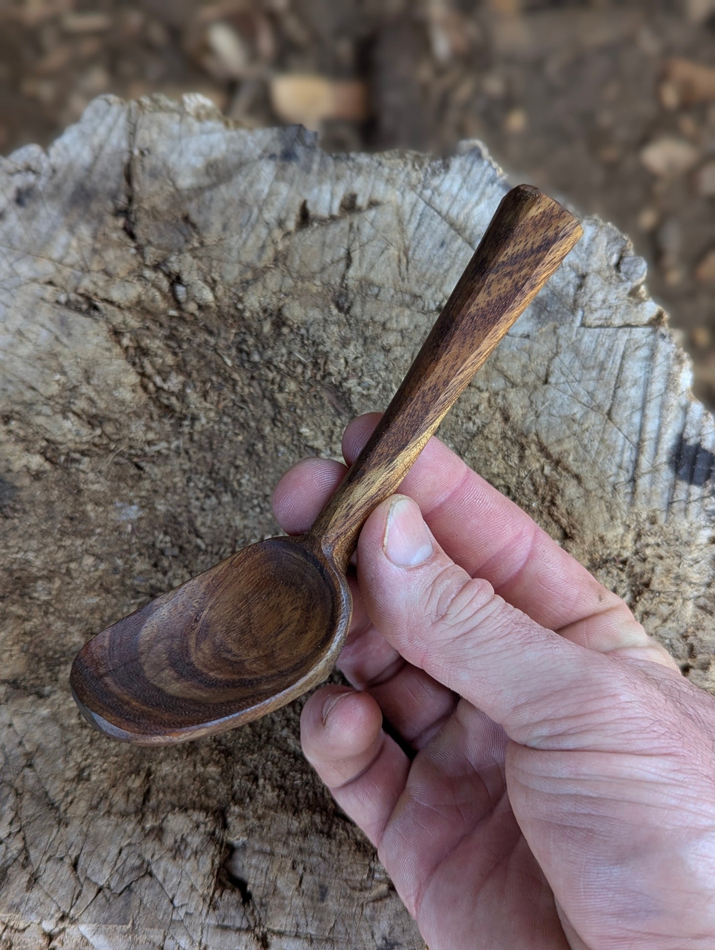 Pocket Spoon - Blackwood
