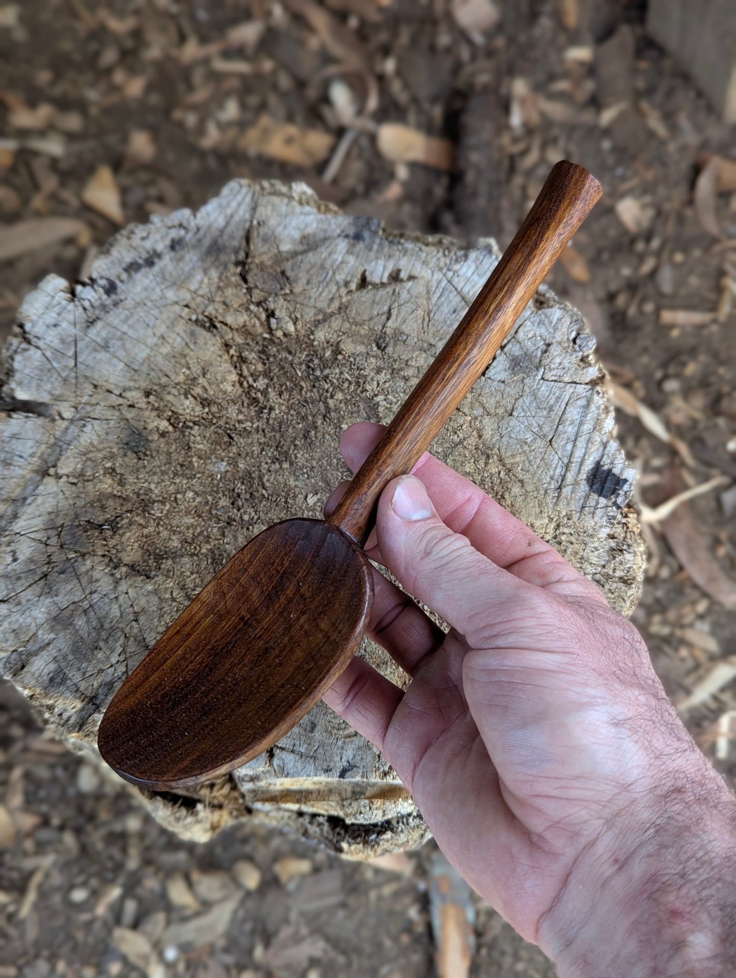 Serving Spoon - Blackwood