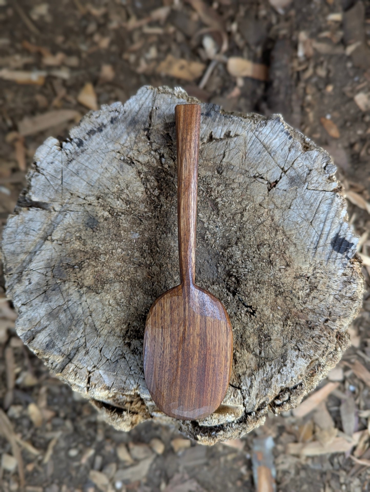 Serving Spoon - Blackwood